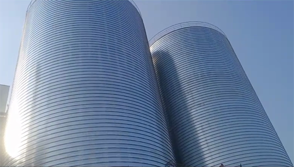 邳州2座混凝土高架卷板仓